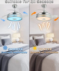 Retractable Ceiling Fan With Lights And Bluetooth Speaker, 42 Inch, showing summer cooling and winter air circulation modes.