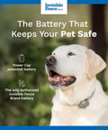 Power Cap Battery 2 Pack For Dog Fence Collars Long Lasting 90 Day Battery Replacements Up To Six Months Of Coverage Keep One On Hand So Your Collar Never Goes Dead. Invisible Fence dog collar battery