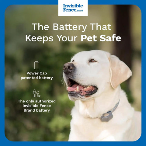 Power Cap Battery 2 Pack For Dog Fence Collars Long Lasting 90 Day Battery Replacements Up To Six Months Of Coverage Keep One On Hand So Your Collar Never Goes Dead. Invisible Fence dog collar battery