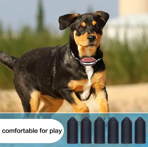 Dog wearing collar with Prong Collar Rubber Sleeve 24 Pack For Shock And Anti Bark Collars 16 Mm Size Replacement Tips
