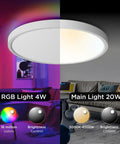 Smart Ceiling Light Flush Mount LED WiFi RGB Dimmed With Alexa And Google Home Voice Control No Fuss Low Profile Ambient Fixture