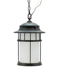 Outdoor Hanging Pendant Light In Aged Bronze With White Speckled Glass, Transitional Style, UL Listed, 17.75x11 inches, 3 ft chain