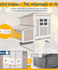 Outdoor Wooden Chicken Coop For Four To Six Chickens With An Elevated Two Tier Hen House Three Compartment Nesting Box Detail