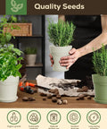 Person holding a potted plant from the Indoor Herb Garden Kit With Eight Heirloom Seeds For Windowsill, All In One Starter Set with tools.
