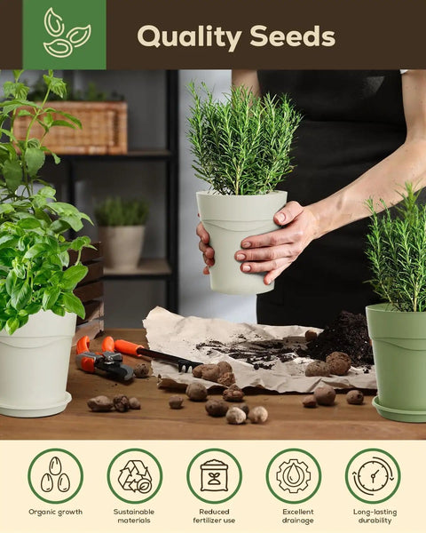 Person holding a potted plant from the Indoor Herb Garden Kit With Eight Heirloom Seeds For Windowsill, All In One Starter Set with tools.