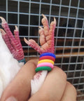 100 Pcs Mixed Color Pigeon Leg Bands for Training Easy Identification and Bird Management Rubber Gentle Fit 9mm Rings