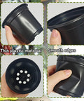 Hand holding 100 Piece Seedling Pots Set With 4 Inch Propagation Containers And Drainage Holes For Indoor Outdoor Gardening