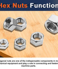 Five stainless steel hex nuts on wooden surface, part of 2 In 1 SAE And Metric Hex Nut Set In Stainless Steel 510 Piece Nut Kit