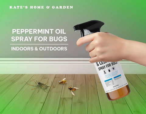 Hand holding Peppermint Oil Spray For Bugs And Pests Indoor Outdoor Pest Control With Cedar Oil 16oz near insects on floor