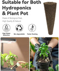 Biodegradable hydroponic sponge suitable for hydroponics and plant pots, shown with basil, compatible with indoor gardens.
