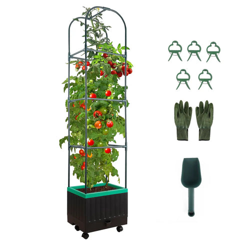 Raised Garden Bed With Self Watering Planter Box And Trellis For Climbing Plants Indoor Outdoor Yard Greenhouse Use