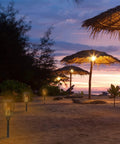 Beach pathway illuminated by Two Pack 33 Inch Solar Tiki Torches With 96 LED Flickering Flame Waterproof Outdoor Lights for realistic ambiance.