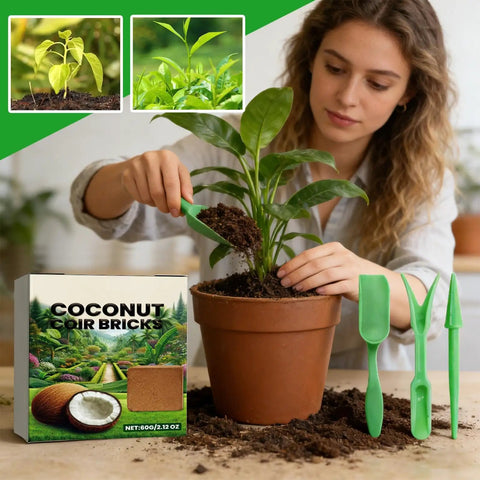 Woman using Compressed Natural Plant Blocks For Indoor And Outdoor Gardens PH Balanced Potting Soil Perfect For Transplanting And Hydroponics