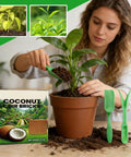 Woman planting with Natural Fiber Compressed Mulch for Indoor and Outdoor Gardens, PH Balanced Potting Soil, featuring tools.