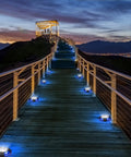 Scenic walkway illuminated by 12 Pack Outdoor Solar Lights Waterproof Landscape Pathway Garden Lights with ground disk design at dusk.