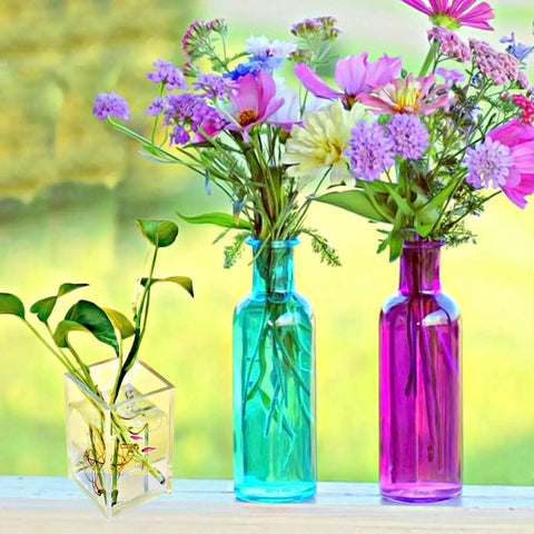 Various colorful flowers in blue and purple glass bottles with a plant in a clear acrylic pencil pen holder cup set 2 pack