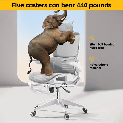 Elephant on chair demonstrates strength of Office Chair Wheel Replacement Kit 5 Pieces For Hardwood Floors And Carpets Silent Smooth Rolling