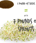 1 pound of seeds yields up to 7 pounds of sprouts from the Organic Sprouting Seed Assortment Pack For Microgreens And Sprouts.