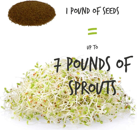 1 pound of seeds yields up to 7 pounds of sprouts from the Organic Sprouting Seed Assortment Pack For Microgreens And Sprouts.