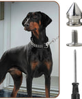 Gnarly Silver Metal Spikes and Studs for Leather and Clothing and Dope Screw Back Rivets for Punk Hats and Bags and Heavy Duty Denim Fashion Hardware displayed with a Doberman wearing spikes collar.