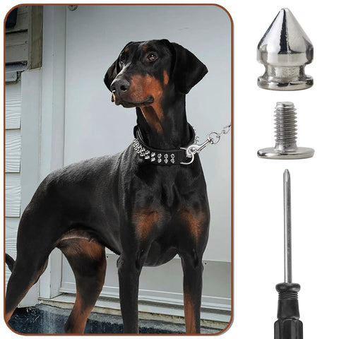 Gnarly Silver Metal Spikes and Studs for Leather and Clothing and Dope Screw Back Rivets for Punk Hats and Bags and Heavy Duty Denim Fashion Hardware displayed with a Doberman wearing spikes collar.