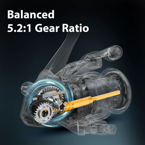Transparent view of M1 Spinning Reel showcasing 5.2:1 gear ratio with internal mechanisms highlighted for freshwater fishing.