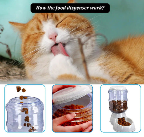 No Sweat Gravity Dog And Cat Feeder Set With Water Dispenser Includes Two Three Gallon Bowls For Small Pups And Kitties Making Automatic Mealtime A Total Breeze, showing a cat and food dispenser.