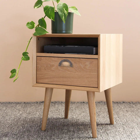 Wooden cabinet with Antique Brass Cabinet Handle Set 2 Pack Shell Drawer Pulls under potted plant.