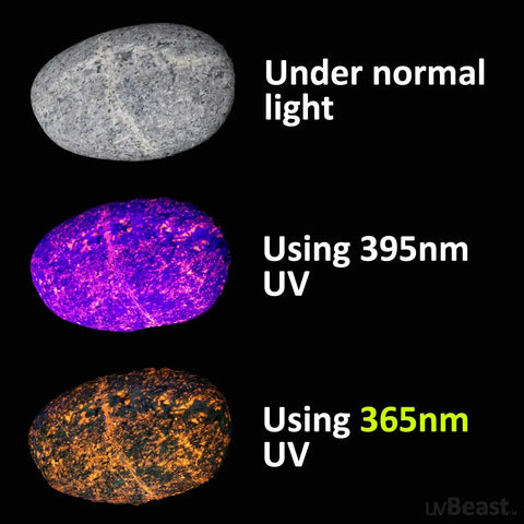 V3 365 Nanometer UV Black Light Flashlight For Pros, Beast Power Ultraviolet Beam, High Definition UV, Long Range, Professional Grade For Commercial Use, Heavy Duty Workhorse, USA Stock