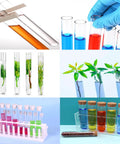 Colorful test tubes and graduated cylinders in a lab setup, showcasing diverse liquid solutions and plants for scientific studies.