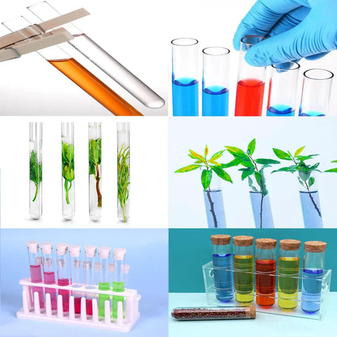 Colorful test tubes and graduated cylinders in a lab setup, showcasing diverse liquid solutions and plants for scientific studies.
