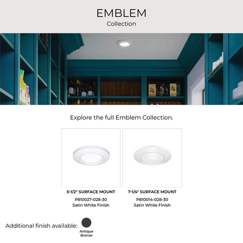 Emblem Collection Surface Mount LED Light Aluminum White Finish installed in modern hallway ceiling