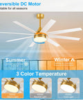 65 Inch Ceiling Fan With Lights And Remote Six Speed Settings Quiet DC Motor Eight Reversible Blades Timer Function Three Color LED Light Industrial Gold And White Finish Perfect For Big Rooms Bedroom Or Home Office showing reversible motor and color temperatures