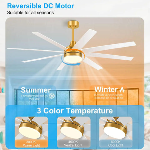 65 Inch Ceiling Fan With Lights And Remote Six Speed Settings Quiet DC Motor Eight Reversible Blades Timer Function Three Color LED Light Industrial Gold And White Finish Perfect For Big Rooms Bedroom Or Home Office showing reversible motor and color temperatures