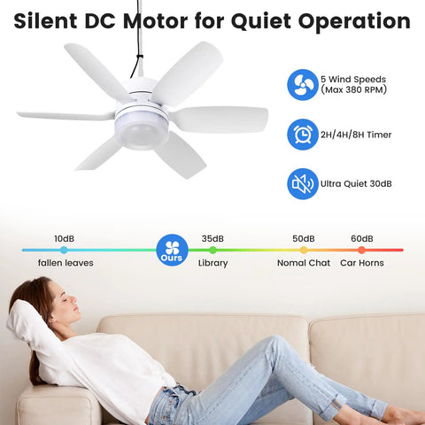 Solar Rechargeable Ceiling Fan Light With Battery Backup 20.5 Inch Outdoor Hanging Fan showcasing quiet operation settings.