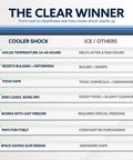 Comparison chart of Giant Reusable Ice Packs For Large Coolers, 14X10 Inch Leakproof Freezer Blocks features vs. others.