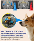 Dog Agility Backyard Course Set With 12 Cones And 6 Durable Rods shown with a French Bulldog and colorful dog toys