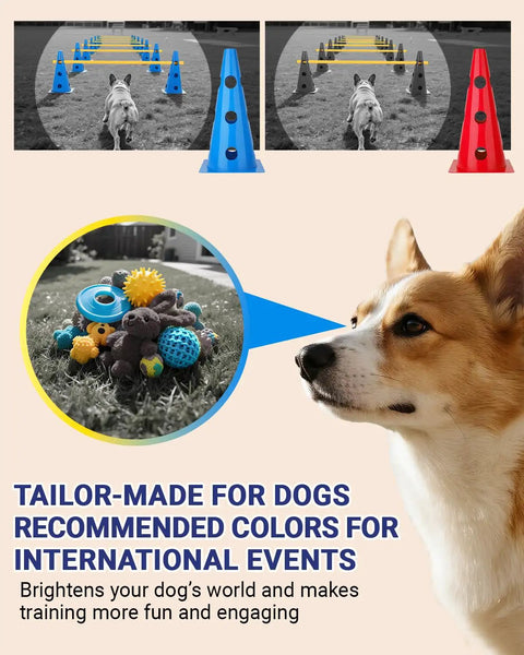 Dog Agility Backyard Course Set With 12 Cones And 6 Durable Rods shown with a French Bulldog and colorful dog toys