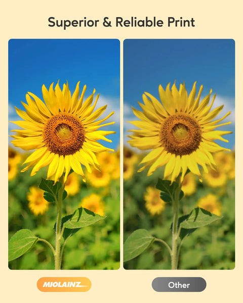Comparison of sunflower print quality using Five Color XXL Ink Cartridge Value Pack High-Capacity Replacement, showing superior color richness.