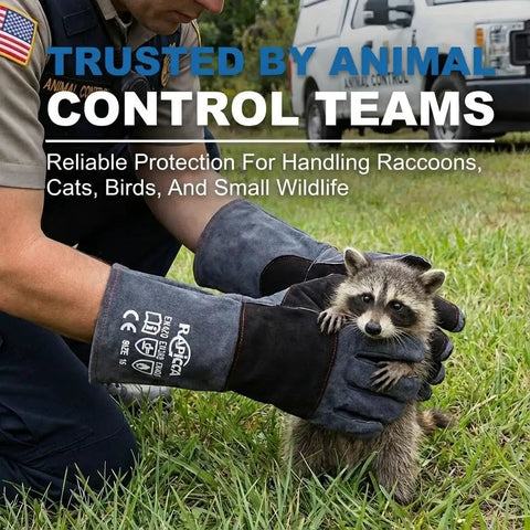 Animal Handling Gloves Bite Proof With Double Leather Reinforcement For Dogs Cats Birds Falcons Reptiles And More 16 Inch Grey Black Beefy Heavy Duty Grip And Forearm Protection For Safe Capture And Handling shown protecting from raccoon bites.