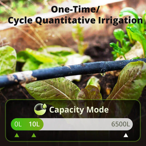 Close-up of a garden drip system using Zigbee Sprinkler Timer With Gateway Required, Smart Irrigation Controller With Alexa and Google Home Voice Control.