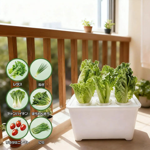 Six Hole Hydroponics Grow Box Kit for Indoor Outdoor Garden Soilless Cultivation System with lettuce sprouts on balcony
