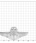 Command Pilot Wings Mint Mirror Finish Regulation Size Official Issue Two Prong Clutch Back USAF Approved Hallmarked AFI 36 2903