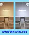100W Equivalent A19 LED Smart Light Bulb Tunable White With Wi Fi Connectivity E26 Base Control By Voice Or App And Motion Activated SpaceSense For Matter Compatible Smart Home warm and cool white hanging lamp comparison