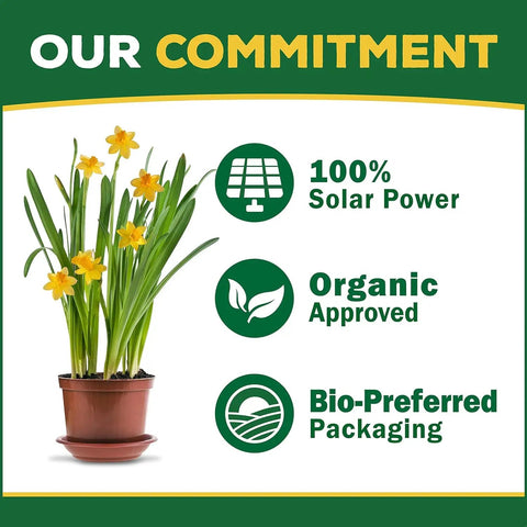 Image of daffodils in a pot highlighting 100% solar power, organic approval, and bio-preferred packaging commitments.