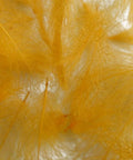 Cul De Canard Feathers Sulphur Orange For Dry Flies And Emergers Top Shelf Natural Feathers Saturated With Oils Will Not Sink