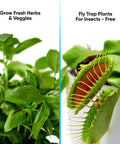 Indoor Hydroponic Herb Garden Kit With Height Adjustable LED Grow Lights No Green Thumb Required 6 Pods showing basil and flytrap