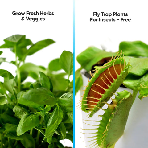 Indoor Hydroponic Herb Garden Kit With Height Adjustable LED Grow Lights No Green Thumb Required 6 Pods showing basil and flytrap