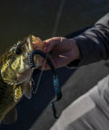 Angler holding bass caught with Plum Power Worm Soft Plastic Fishing Bait With Irresistible PowerBait Formula And Classic Curly Tail Profile