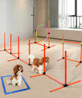 Dog Agility Training Set For Backyard And Indoor Use 4 Piece Obstacle Course with Jump Ring, Hurdles, and Weave Poles indoors